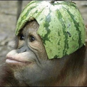 Meet your Posher, Randolph